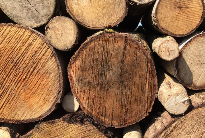 tongue and groove timber boards